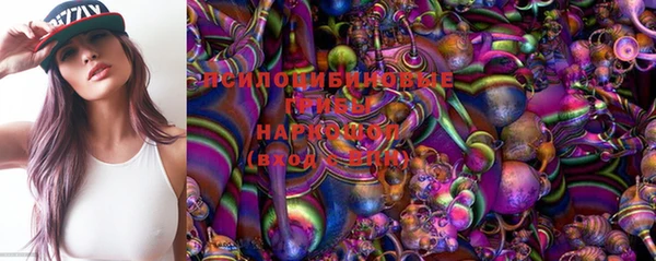 стаф Майский