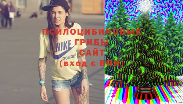 стаф Майский
