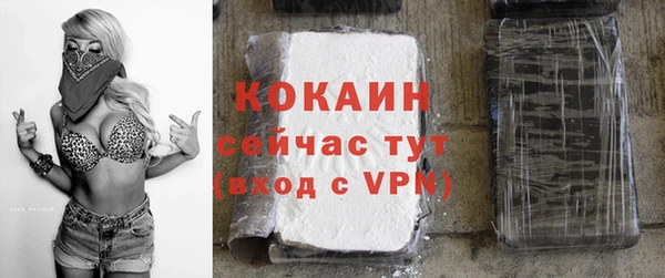 стаф Майский