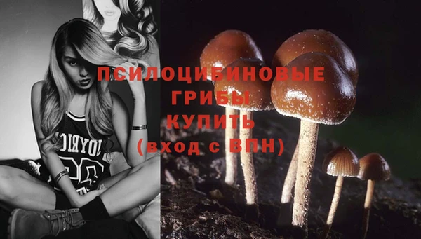 стаф Майский