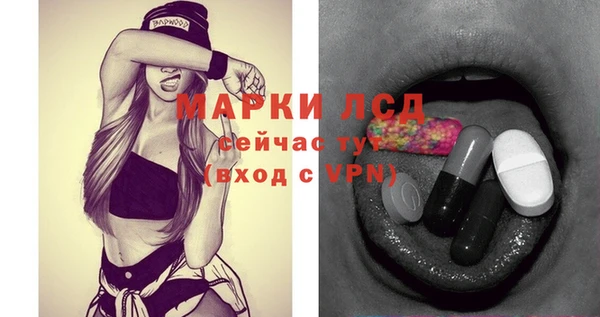 стаф Майский