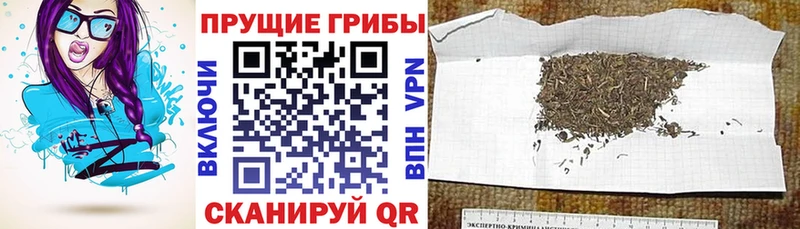 Купить закладки  Байкальск  Псилоцибиновые грибы мухоморы 